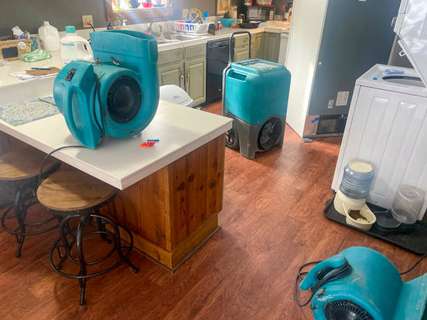 Best 24/7 water damage repair  in Hutchison, VA