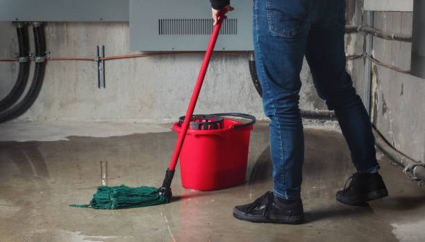 Best Water damage restoration near me  in Hutchison, VA