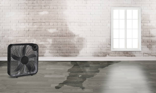 Best Residential water damage restoration  in Hutchison, VA