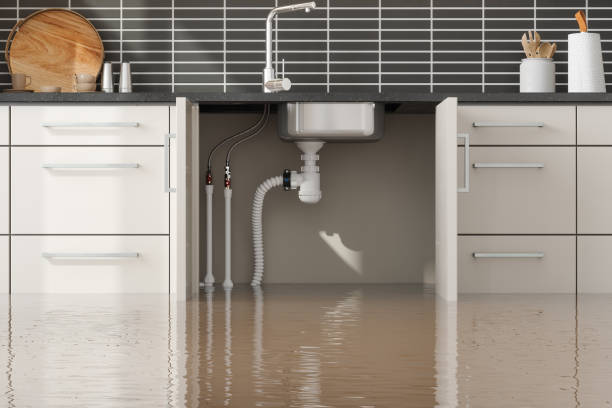 Best Water damage restoration specialists  in Hutchison, VA