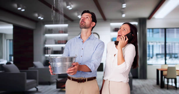 Best Ceiling water damage repair  in Hutchison, VA